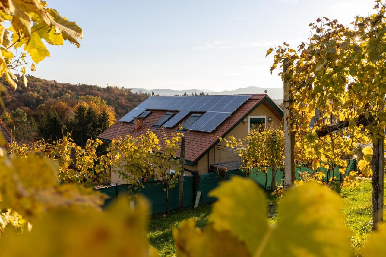Weinberghaus Am Burgstallkogel ليبنيتز المظهر الخارجي الصورة